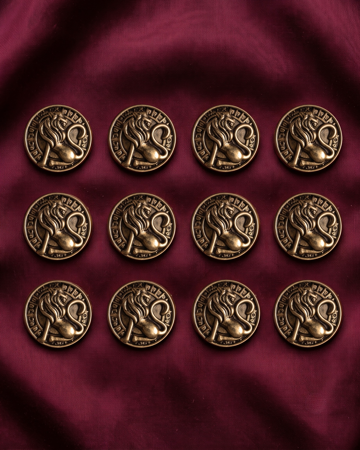 Lion & Sun Wheel Brooch & Metal Button Set
