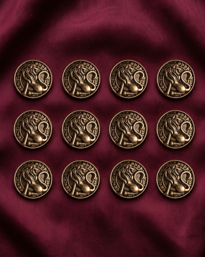 Lion & Sun Wheel Brooch & Metal Button Set